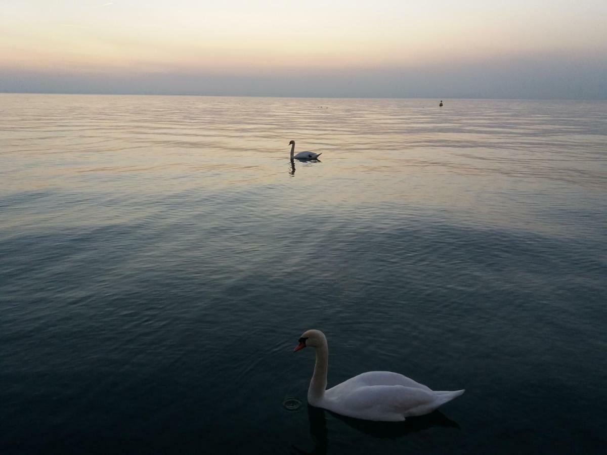 Casa Agnese Daire Lazise Dış mekan fotoğraf